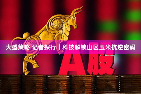 大盛策略 记者探行丨科技解锁山区玉米抗逆密码