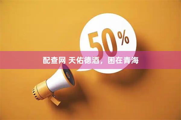 配查网 天佑德酒，困在青海