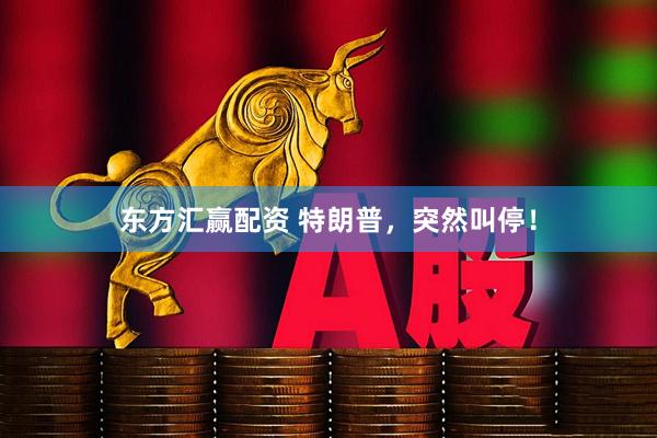 东方汇赢配资 特朗普，突然叫停！