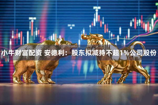 小牛财富配资 安德利：股东拟减持不超1%公司股份