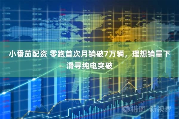 小番茄配资 零跑首次月销破7万辆，理想销量下滑寻纯电突破